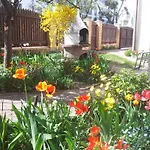 Cozy With Garden *