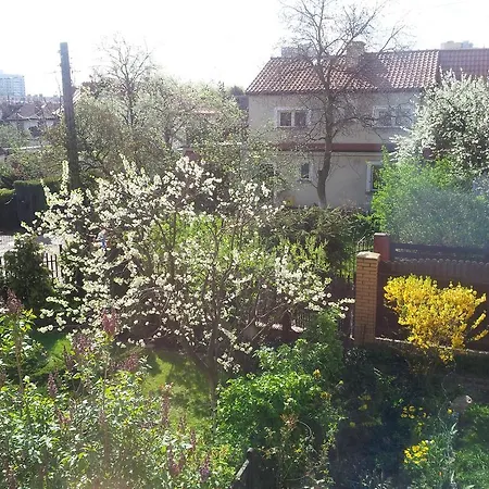 Cozy With Garden