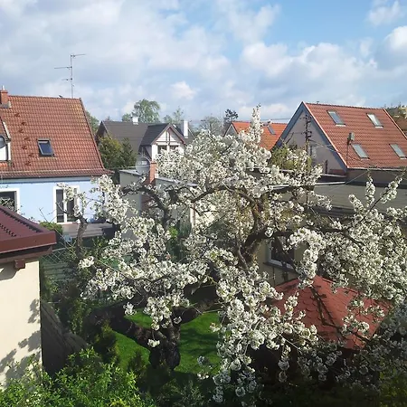 Cozy With Garden 公寓 格但斯克