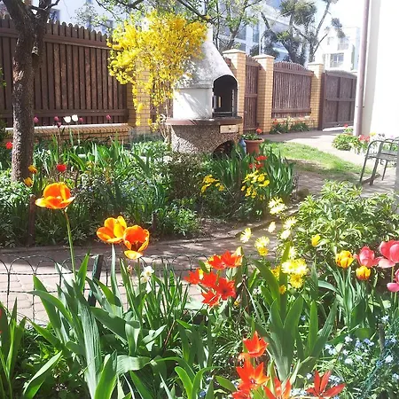 Cozy With Garden *